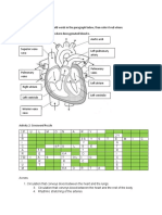 Label the Heart Diagram and Complete the Crossword Puzzle