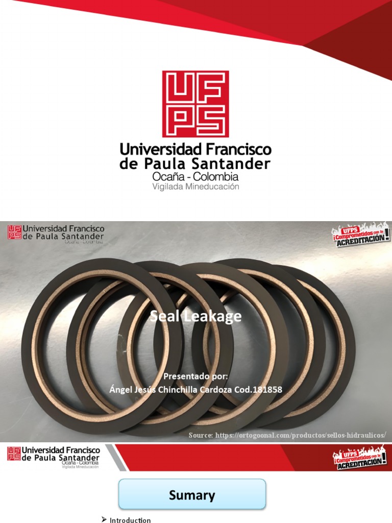 Exposicion Seal Leakage PDF Chemical Engineering Building Engineering