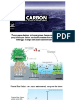 Potensi Blue Carbon Di Indonesia - Workshop Regional Barat