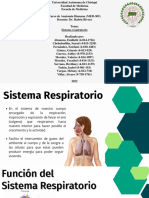 Sistema Respiratorio