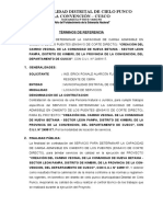 TDR de SERVICIO PARA DETERMINAR LA CAPACIDAD DE CARGA ADMISIBLE EN CIMIENTO DE LOS PUENTES (ENSAYO DE CORTE DIRECTO)