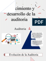 Auditoria Financiera