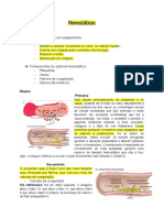 Aula 4 - Hemostáticos