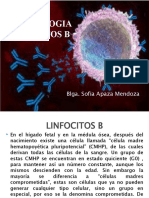 Inmunologia-Linfocitos B
