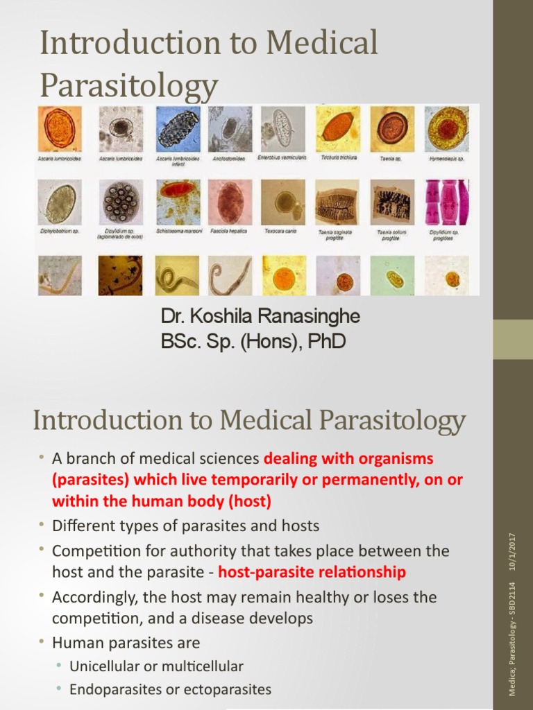 Centre For Medical Parasitology – ZLOWIX