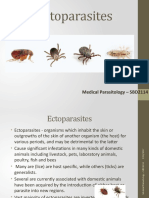 Week 8 - Ectoparasites