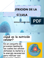 La Nutricion de La Célula