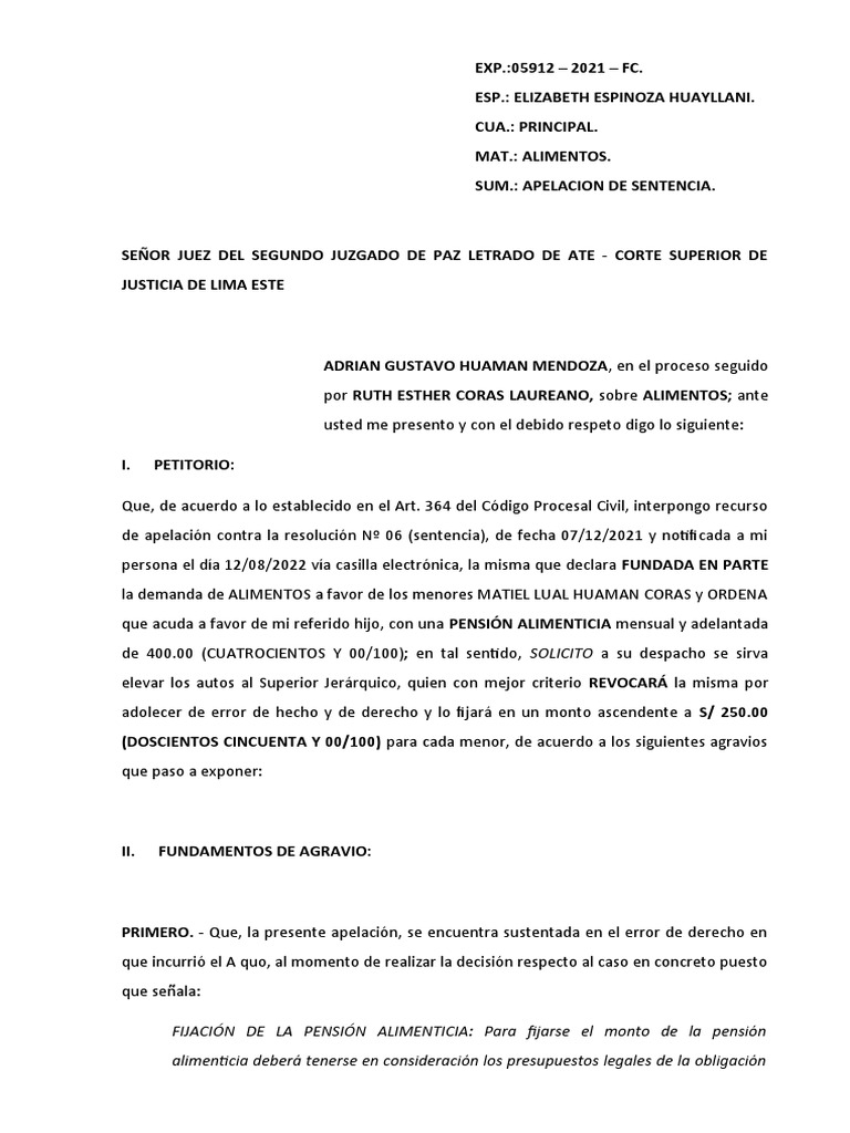 Apelacion de Sentencia de Alimentos PDF Sentencia (ley) Pensión
