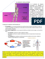 EL APARATO CIRCULATORIO 2º Primaria