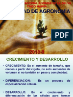 Crecimiento y Desarrollo