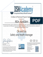 294531-Oil and Gas-Safety and Health Manager