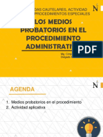 Semana 8-Medios Probatorios