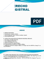 Diapo Derecho Registral Mio.pdf (1)