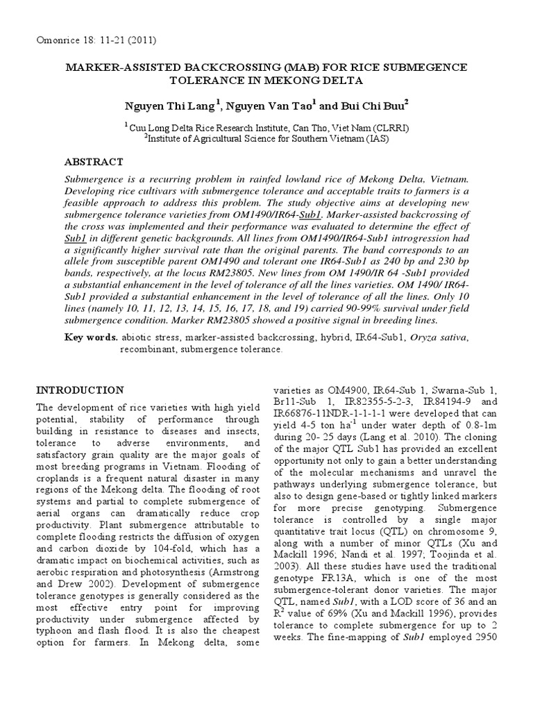 marker-assisted-backcrossing-mab-for-rice-submegence-tolerance-in