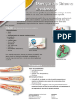 Doenças Do Sistema Circulatório