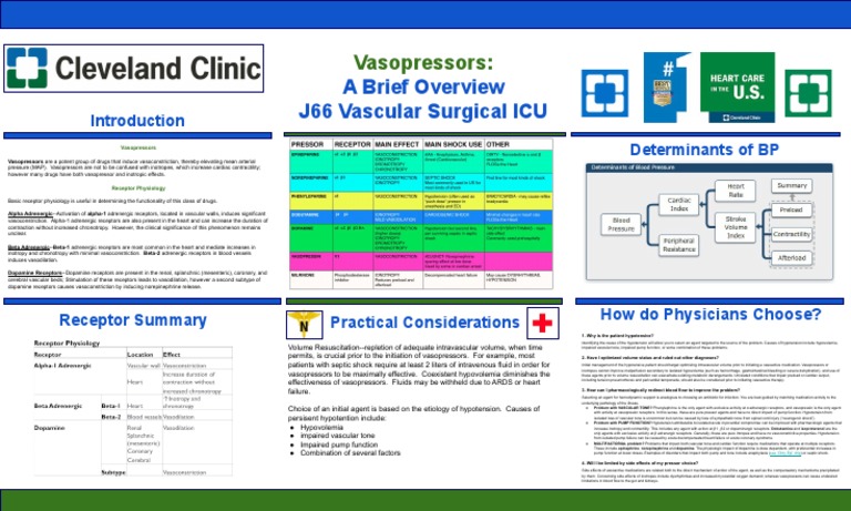 Vasoactive Medications | PDF | Blood Vessel | Vasodilation