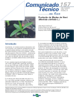 Manual de Plantio Noni