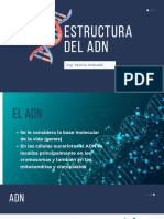 Estructura Del Adn: Ing. Valeria Andrade