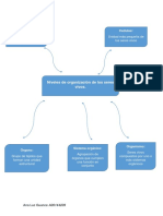 Unidad 1. Actividad 1. Organización de Los Seres Vivos.