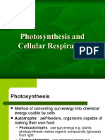 5 Photosynthesis and Cellular Respiration (Autosaved)