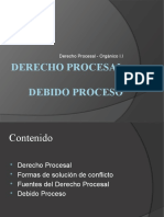 1 Org I - DProcesal Debido Proceso
