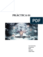 1 - Pràctica-01 - 1