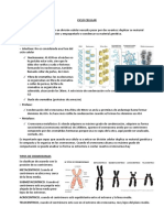 37 - Ciclo Celular