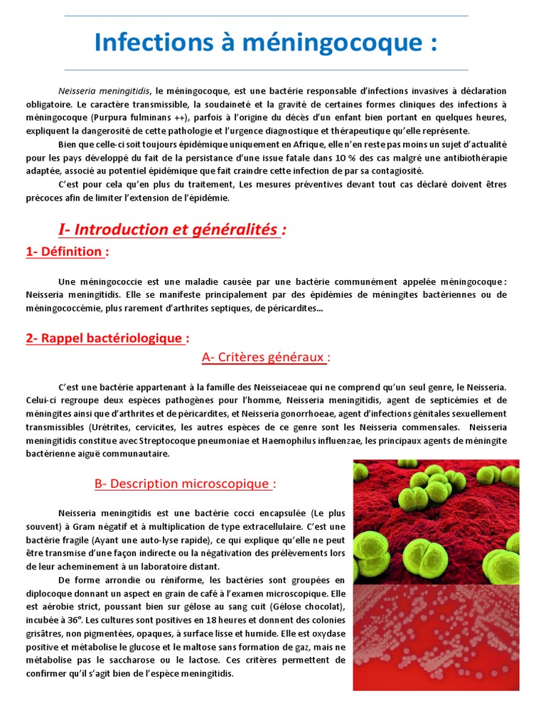 Infections à méningocoque enjeux et prévention PDF Méningite — free download