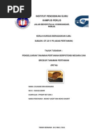 Download petai by Zulhilme Mohamad SN59996029 doc pdf