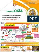 Academia - Biología - Reino Fungi y Plantae - Semestral SM