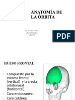 Anatomía Del Cráneo y Órbita LP - Clase I