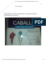 ANATOMIA DEL CABALLO LIBRO PARA COLOREAR MATERIAL VETERINARIO COSTA RICA