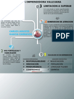 Infografia - Carlos A. Garcia