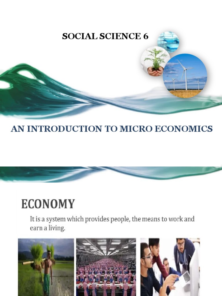 An Introduction To Micro Economics | PDF | Economic System | Economics