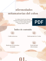 Enfermedades Inflamatorias Del Colon