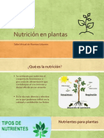 Nutrición en Plantas