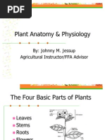 Plant Anatomy & Physiology