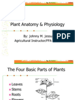 Plant Anatomy & Physiology