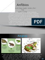 Anfíbios: vida dupla entre água e terra