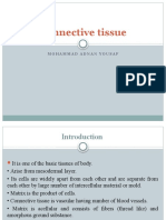 Connective Tissue