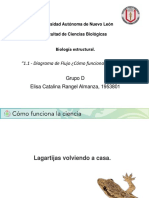 E1_Diagrama de Flujo