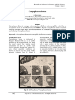 (18-22) Caryophanon Latum-Format