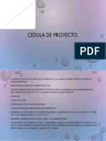 Cedula de Proyecto.