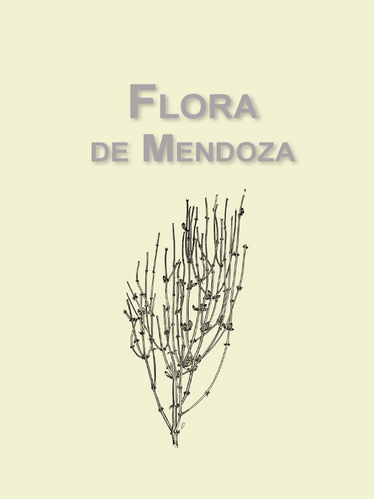Flora Provincia de Mendoza PDF Organismos Ramas de la botánica