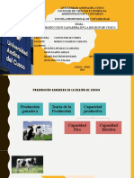 PRODUCCION GANADERA EN LA REGION DE CUSCO (5)