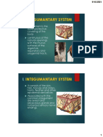 Module 2. Anatomy and Physiology (Integumentary, Skeletal, Muscular)