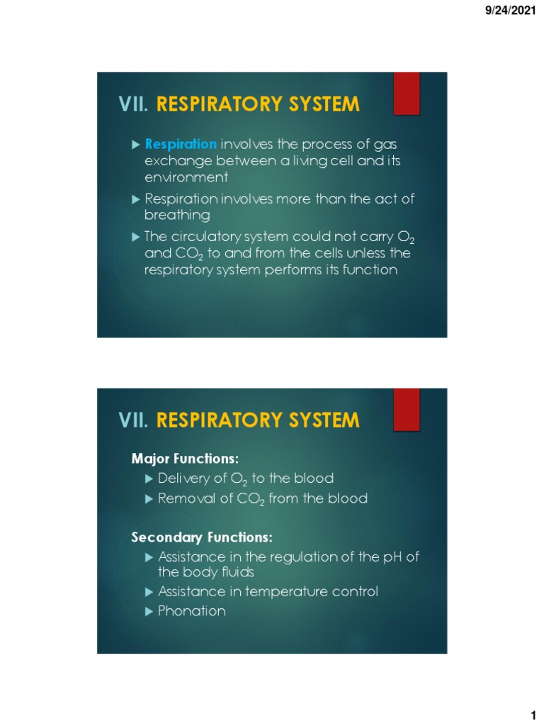 Module 2c Anatomy and Physiology (Respiratory, Digestive, Urinary, and ...