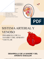 Sistema Arterial y Venoso Embriologia II