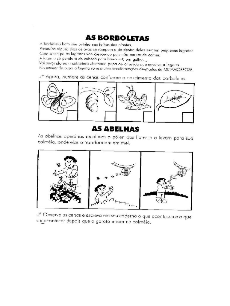 metamorfose-3-ano-pdf