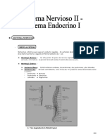 IV BIM - 5to. Año - Bio - Guía 6 - Sistema Nervioso II-Endoc